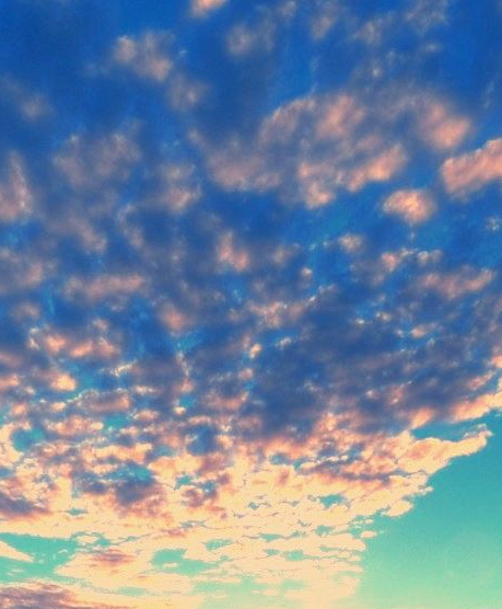 粉象生活分享的东西怎么样