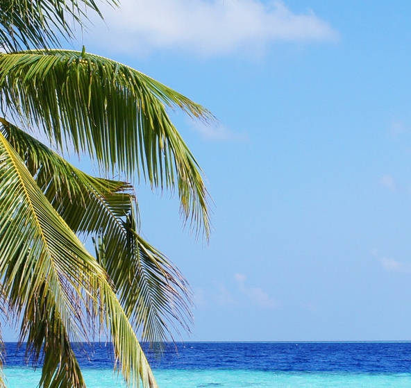 杭州粉象家科技有限公司