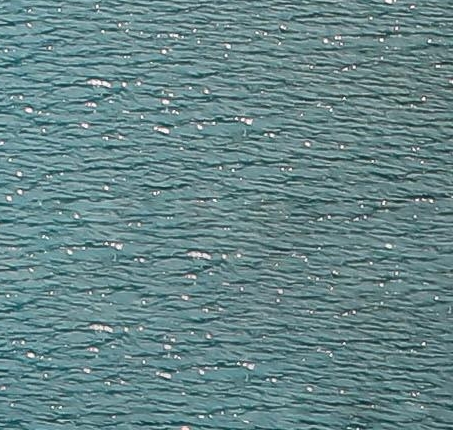 如何抢粉象提现卡