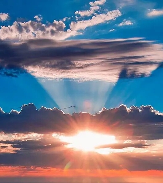 业生活app怎么使用