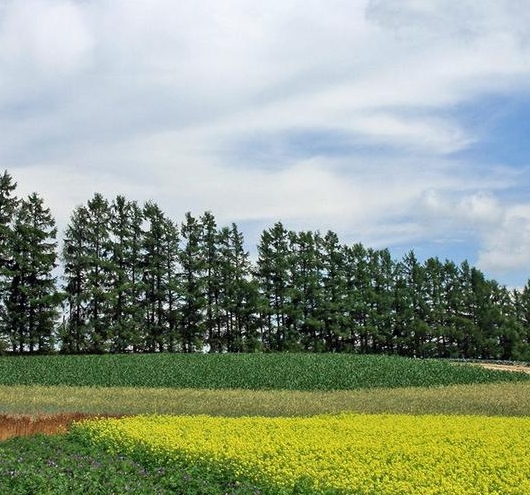 粉象生活怎么赚钱