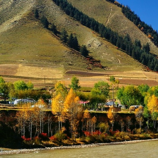 潮州粉象生活收费