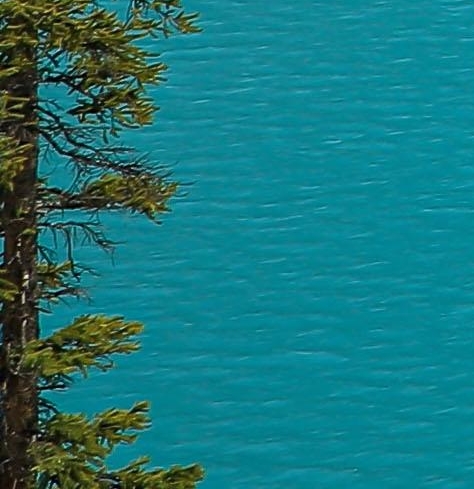 粉象生活可以赚钱吗