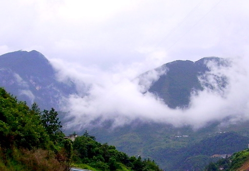 怀化有人做粉象生活?