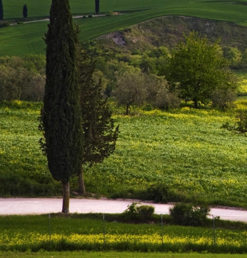 粉象生活朋友圈文案