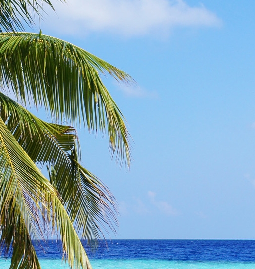 粉象生活怎么领优惠券