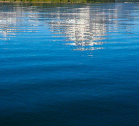 粉象生活怎么退出邀请码