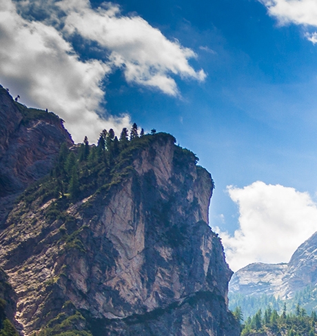 粉象生活如何申请淘宝客