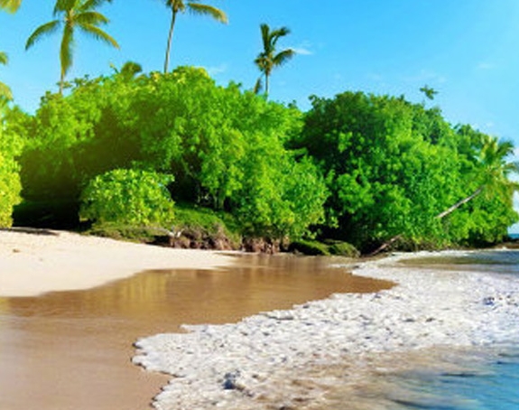 粉象生活邀请码