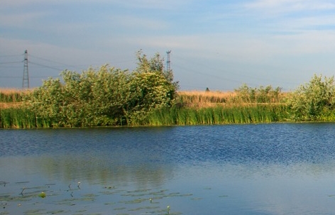 粉象生活怎么邀请不了人