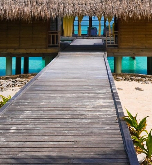 粉象生活直播辉煌