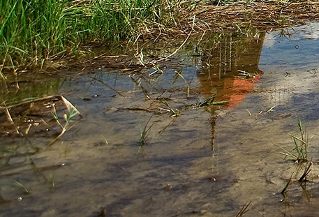 粉象生活怎么赚钱
