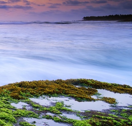 粉象生活生成邀请码