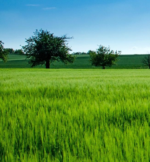 淘宝商家如何入驻粉象