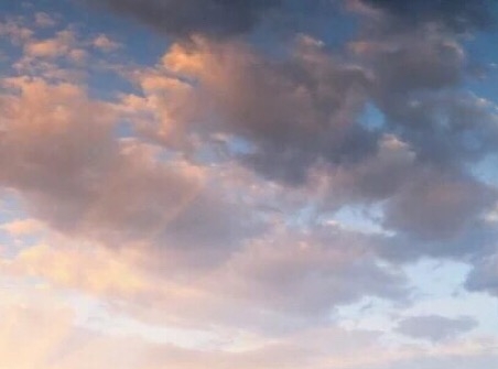 粉象生活怎么上传照片