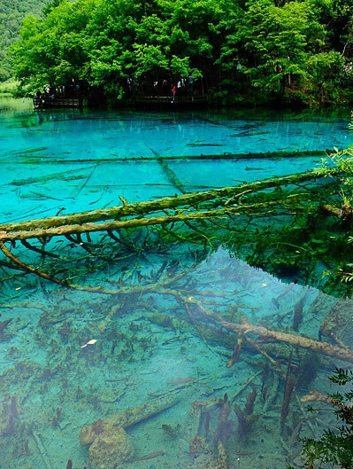 粉象生活邀请码