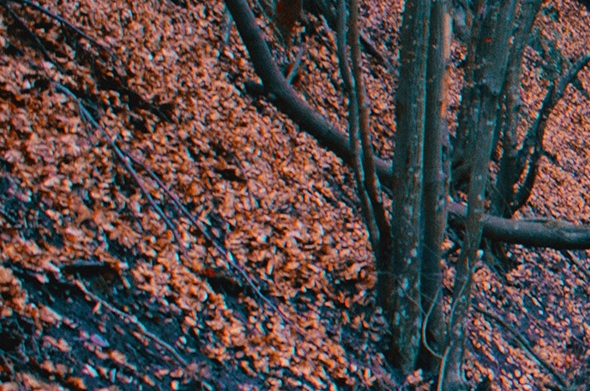 粉象生活悠然团队