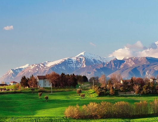 利用粉象生活赚取佣金合法吗?