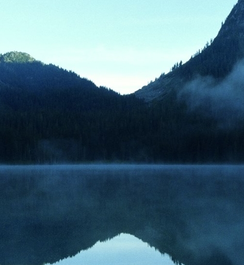 粉象生活的缩写是什么