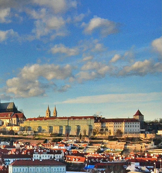 粉象生活商家合作