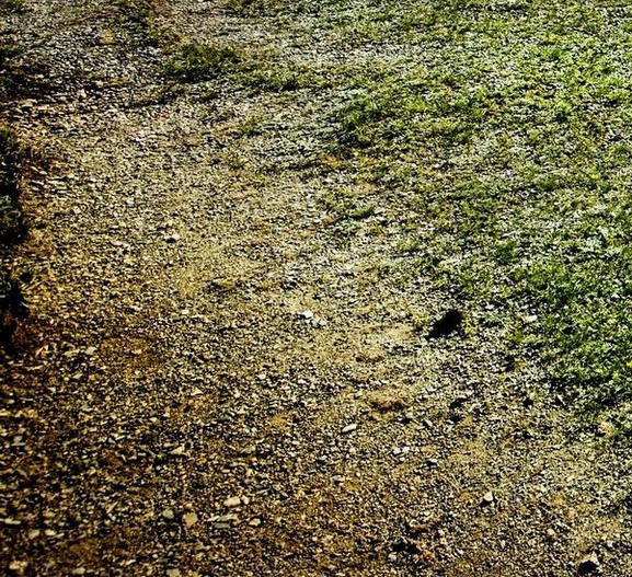 曲靖粉象生活加盟