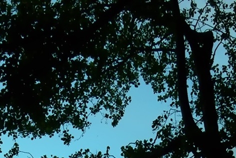 粉象生活专车布局