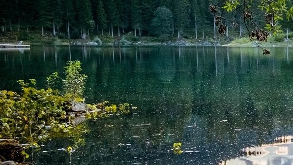 粉象生活如何赚积分