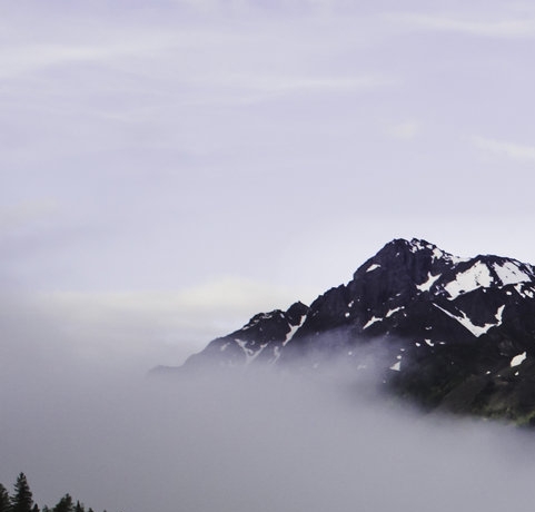 粉象生活创始人李红星籍贯