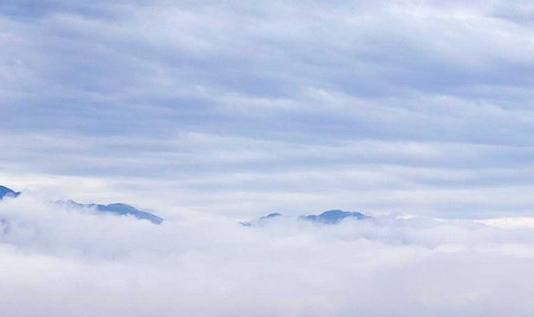 粉象生活有自动收款吗