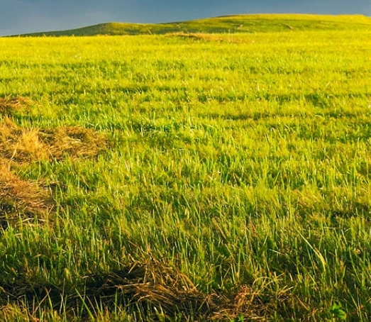 粉象生活注册几天