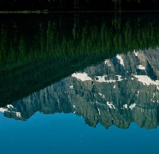 粉象生活下载app