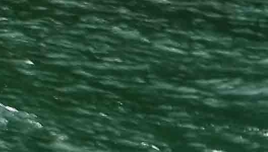 粉象生活开店流程