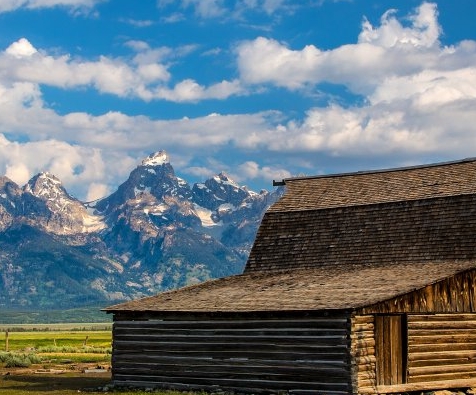 注册粉象生活有风险吗