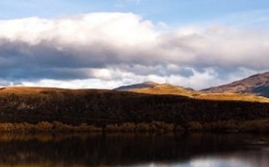 粉象生活下载app