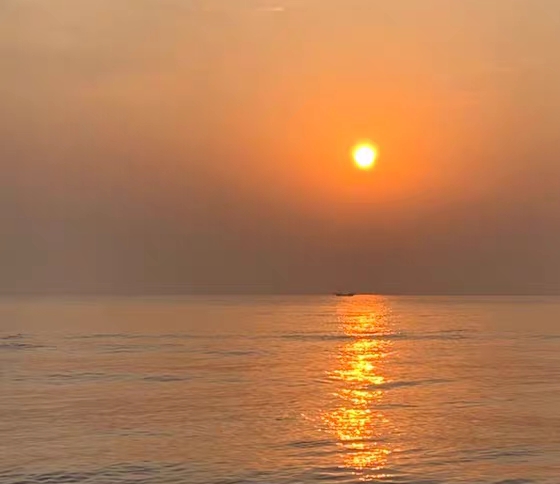 粉象生活做咸鱼