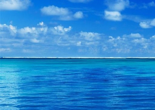 如何在粉象分享赚钱