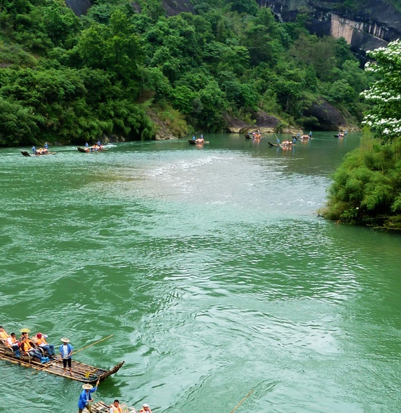 粉象生活注册视频