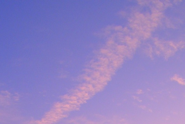 江西加盟粉象生活app