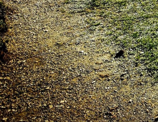 粉象生活到底靠谱吗