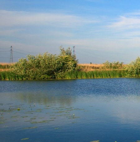 如何开通生活缴费