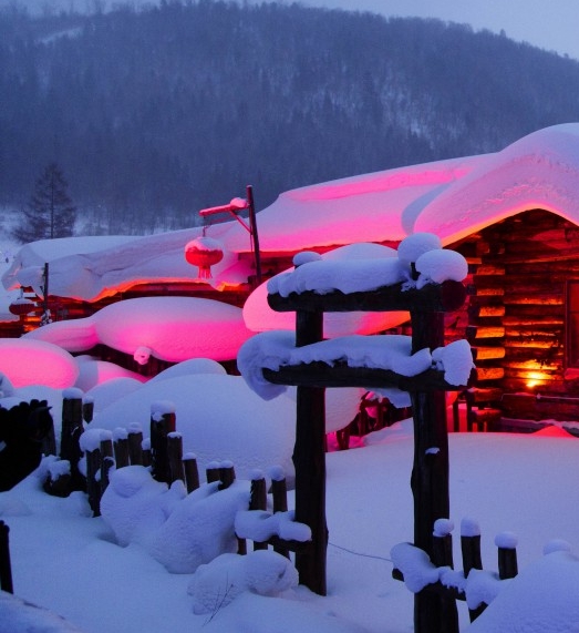 粉象生活app下载