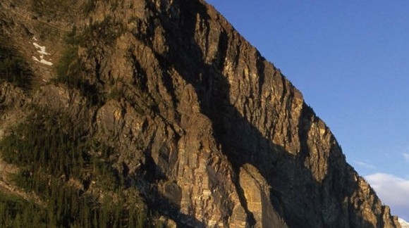 粉象生活下载app