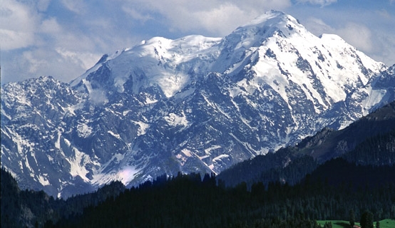 中山粉象生活怎么样