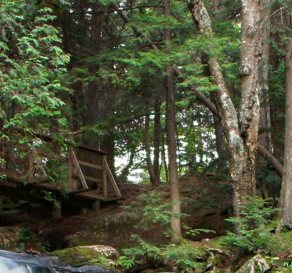 粉象生活粉丝怎么增加