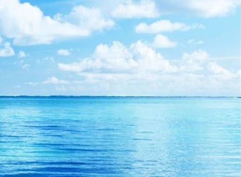 粉象生活平台app