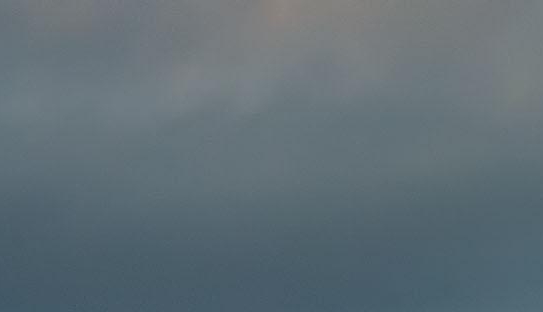 粉象生活商家怎么报名