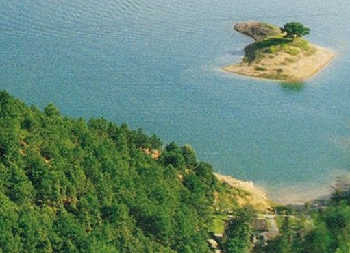 粉象生活怎么用钱