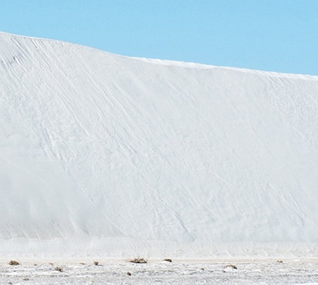 神仙粉象生活app