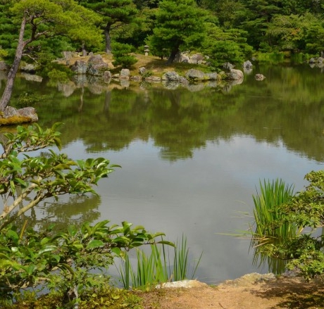 粉象生活到底靠谱吗