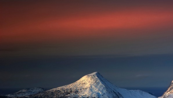 福建高端粉象生活软件